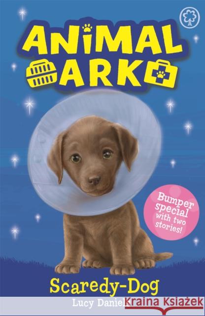 Animal Ark, New 2: Scaredy-Dog: Special 2 Lucy Daniels 9781408354186 Hachette Children's Group