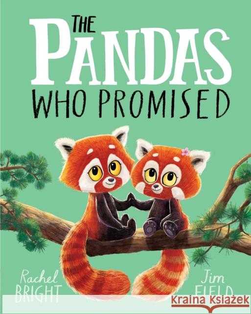 The Pandas Who Promised: From The World of Rachel Bright & Jim Field Rachel Bright 9781408356104 Hachette Children's Group