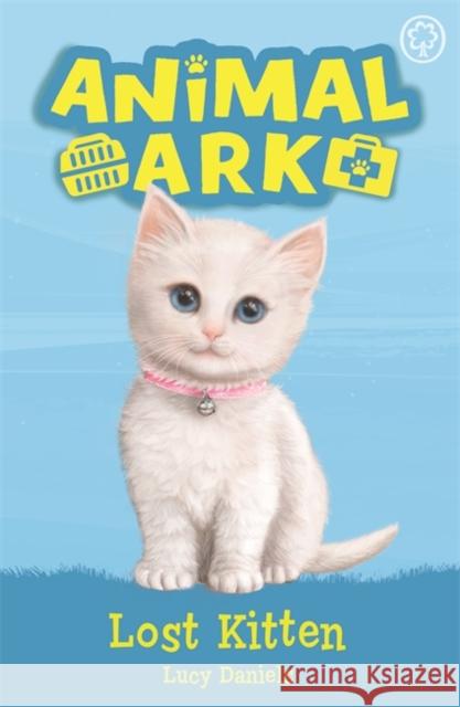 Animal Ark, New 9: Lost Kitten: Book 9 Lucy Daniels 9781408359211 Hachette Children's Group