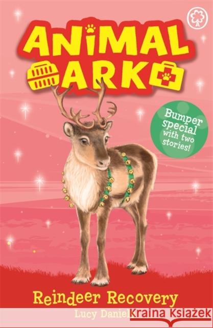 Animal Ark, New 3: Reindeer Recovery: Special 3 Lucy Daniels 9781408359297 Hachette Children's Group