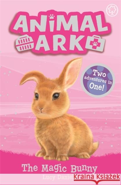 Animal Ark, New 4: The Magic Bunny: Special 4 Lucy Daniels 9781408359310 Hachette Children's Group