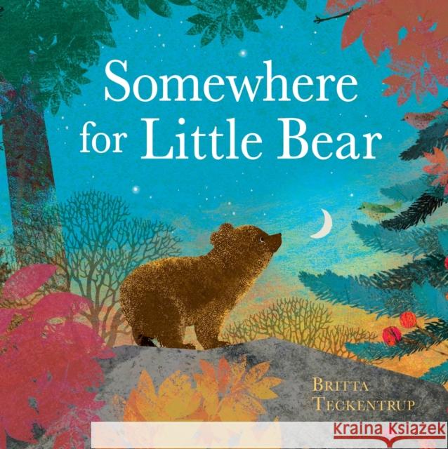 Somewhere for Little Bear Britta Teckentrup 9781408359716 ORCHARD