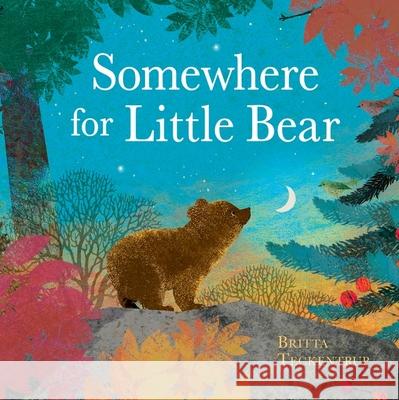 Somewhere for Little Bear Britta Teckentrup 9781408359723 ORCHARD