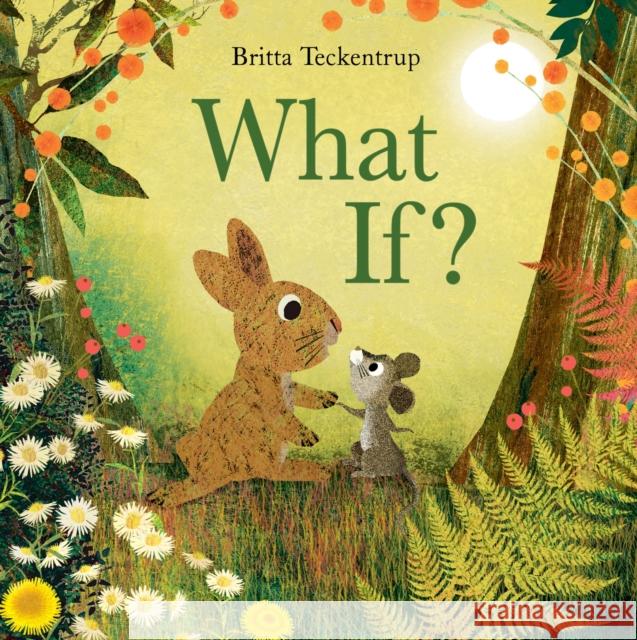 What If? Britta Teckentrup 9781408359730