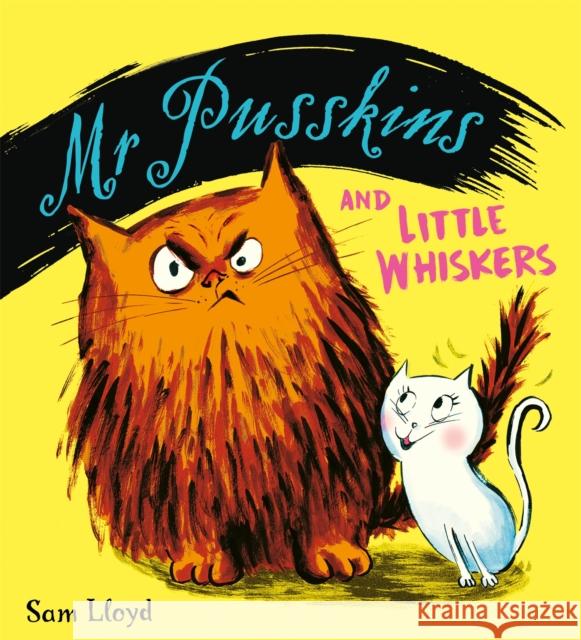 Mr Pusskins and Little Whiskers Sam Lloyd 9781408360729