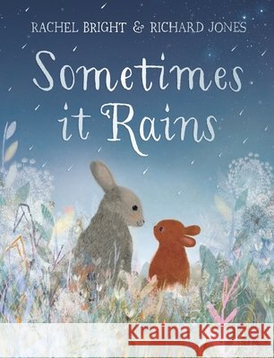 Sometimes It Rains Rachel Bright 9781408369968
