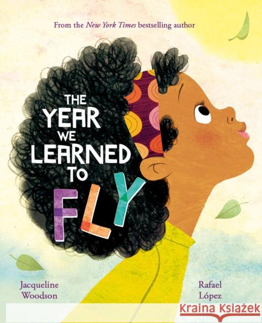 The Year We Learned to Fly Jacqueline Woodson 9781408373590