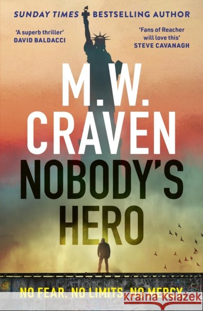 Nobody's Hero M. W. Craven 9781408717608