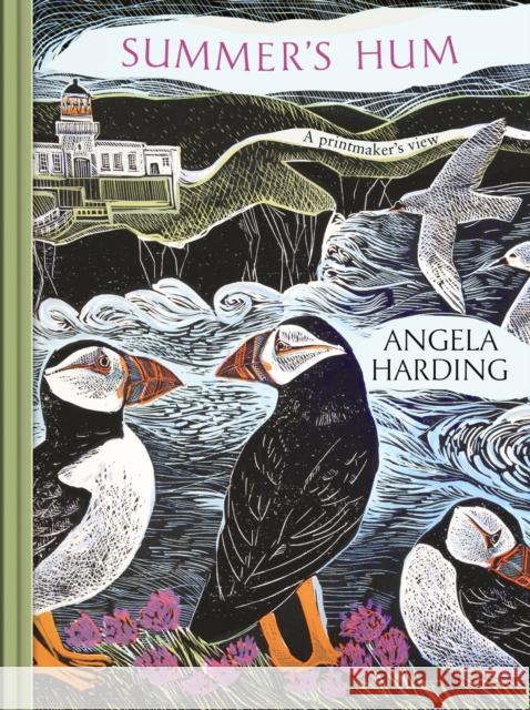 Summer's Hum: part of a beautiful new series from beloved illustrator and print-maker Angela Harding Harding, Angela 9781408721933 Little, Brown Book Group