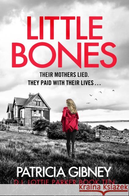 Little Bones Patricia Gibney 9781408728550