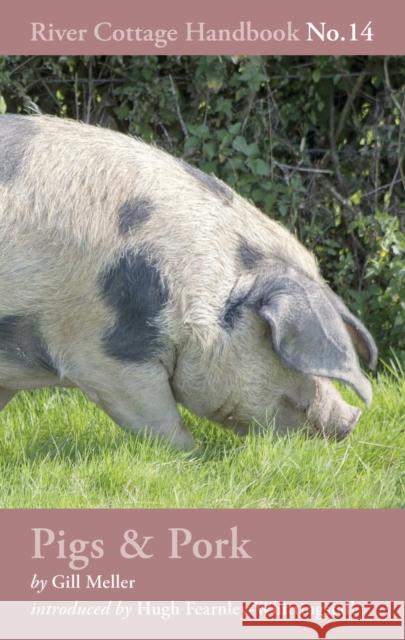 Pigs & Pork: River Cottage Handbook No.14 Gill Meller 9781408817926 Bloomsbury Publishing PLC