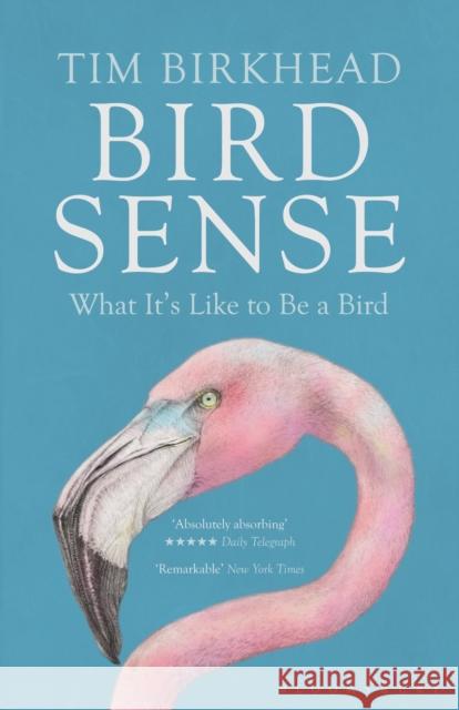 Bird Sense: What It's Like to Be a Bird Tim Birkhead 9781408830543