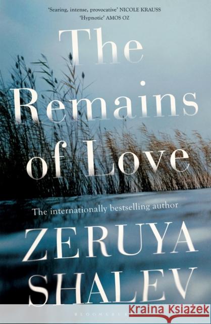 The Remains of Love Zeruya Shalev, Philip Simpson 9781408836576