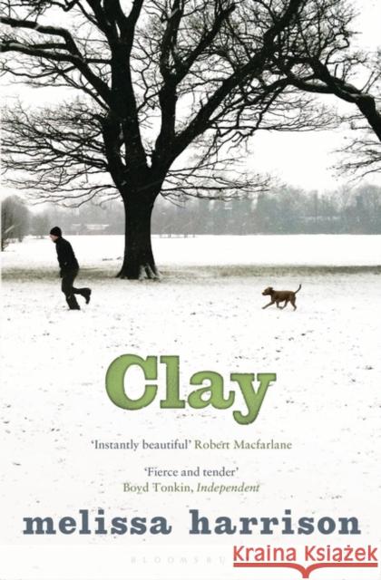 Clay Melissa Harrison 9781408842553 Bloomsbury Publishing PLC