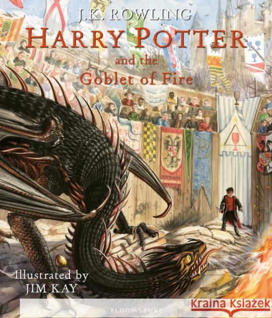 Harry Potter and the Goblet of Fire: Illustrated Edition Rowling J.K. 9781408845677