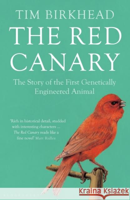 The Red Canary : The Story of the First Genetically Engineered Animal Tim Birkhead 9781408847060 Bloomsbury Publishing