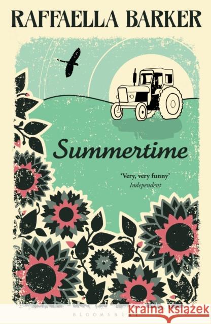 Summertime Raffaella Barker 9781408850657