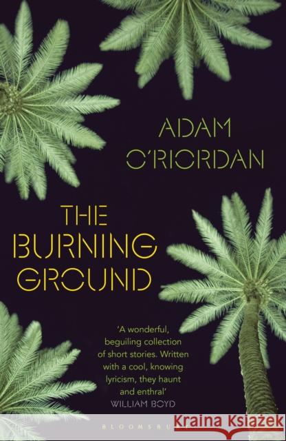 The Burning Ground Adam O'Riordan 9781408864791