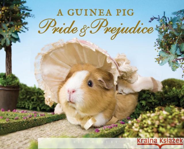 A Guinea Pig Pride & Prejudice Tess Newall 9781408865514 BLOOMSBURY PUBLISHING