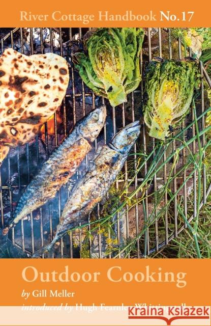 Outdoor Cooking: River Cottage Handbook No.17 Gill Meller   9781408873489