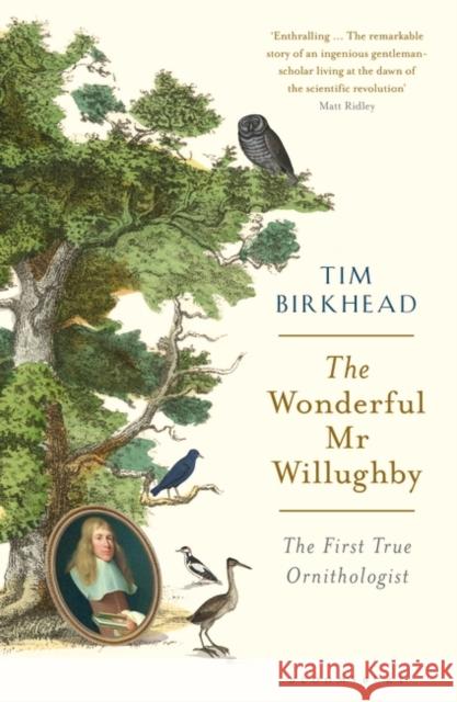 The Wonderful Mr Willughby: The First True Ornithologist Tim Birkhead   9781408878521 Bloomsbury Publishing PLC