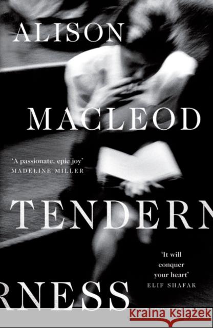 Tenderness MACLEOD ALISON 9781408884676 BLOOMSBURY