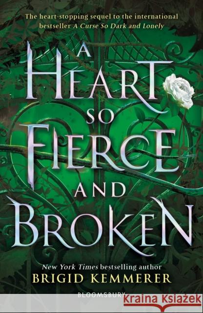 A Heart So Fierce and Broken Kemmerer, Brigid 9781408885086