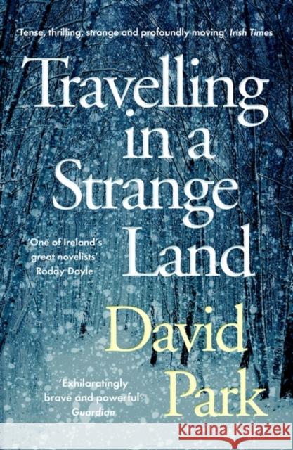 Travelling in a Strange Land: Winner of the Kerry Group Irish Novel of the Year David Park 9781408892756