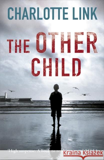 The Other Child Charlotte Link 9781409121213