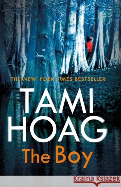 The Boy Tami Hoag 9781409169642 Orion Publishing Co