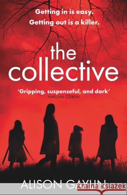 The Collective Alison Gaylin 9781409179085 Orion Publishing Co