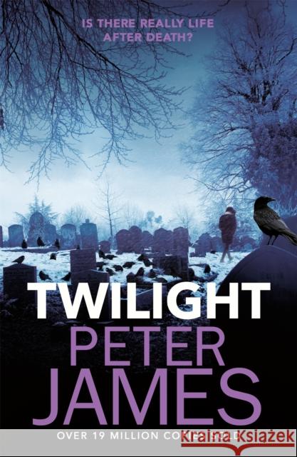 Twilight James, Peter 9781409181309