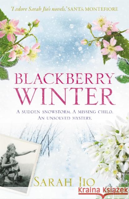 Blackberry Winter: The stunning festive mystery to curl up with over the holidays! Sarah Jio 9781409190776 Orion (an Imprint of The Orion Publishing Gro