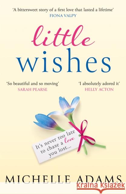 Little Wishes Michelle Adams 9781409195047