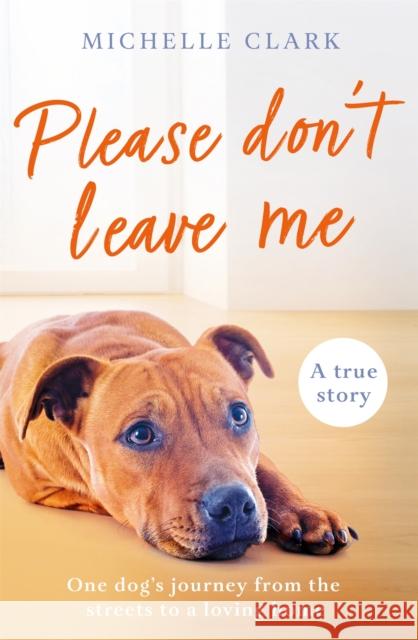 Please Don't Leave Me: The heartbreaking journey of one man and his dog Michelle Clark 9781409195450