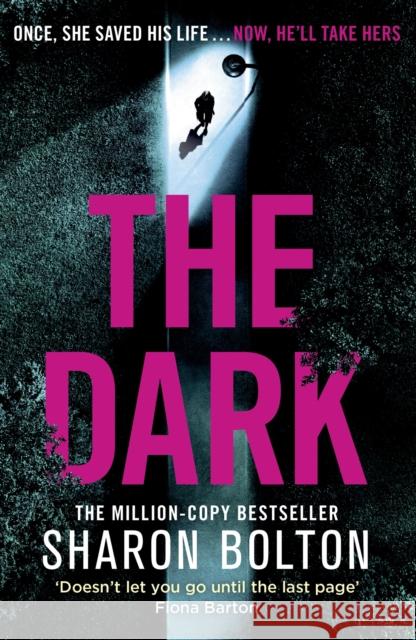 The Dark: A compelling, heart-racing, up-all-night thriller from Richard & Judy bestseller Sharon Bolton Sharon Bolton 9781409198369 Orion Publishing Co