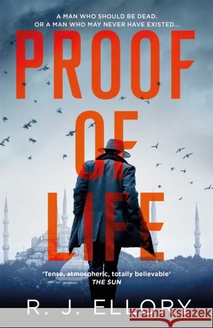 Proof of Life: The Gripping Espionage Thriller from an Award-Winning International Bestseller R.J. Ellory   9781409198574 Orion Publishing Co