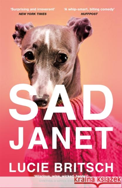 Sad Janet: ‘A whip-smart, biting tragicomedy’ HuffPost Lucie Britsch 9781409198666