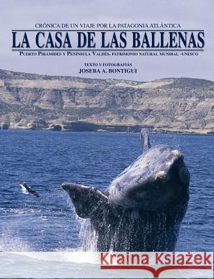 La Casa De Las Ballenas Joseba Andoni Bontigui Eskisabel 9781409243847 Lulu.com