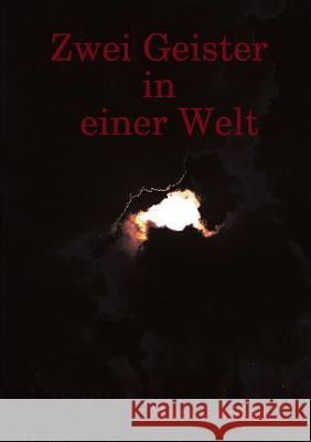 Zwei Geister in Einer Welt Mark Lorenz 9781409272762