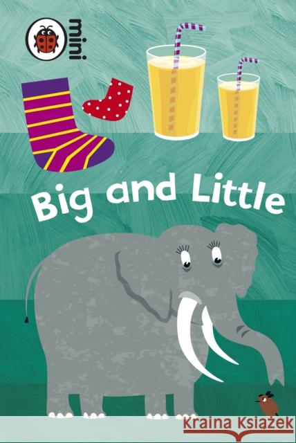 Early Learning: Big and Little Mark Airs 9781409301783 Penguin Random House Children's UK