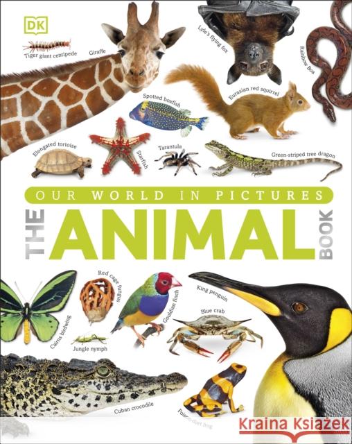 Our World in Pictures The Animal Book   9781409323495 Dorling Kindersley Ltd