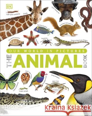 Our World in Pictures The Animal Book   9781409323495 Dorling Kindersley Ltd