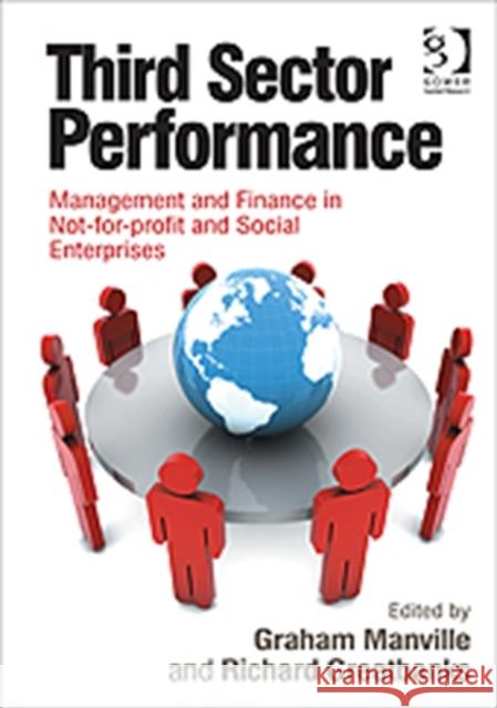 Third Sector Performance: Management and Finance in Not-For-Profit and Social Enterprises Manville, Graham 9781409429616 Gower Publishing Company