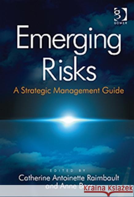 Emerging Risks: A Strategic Management Guide Raimbault, Catherine Antoinette 9781409445937