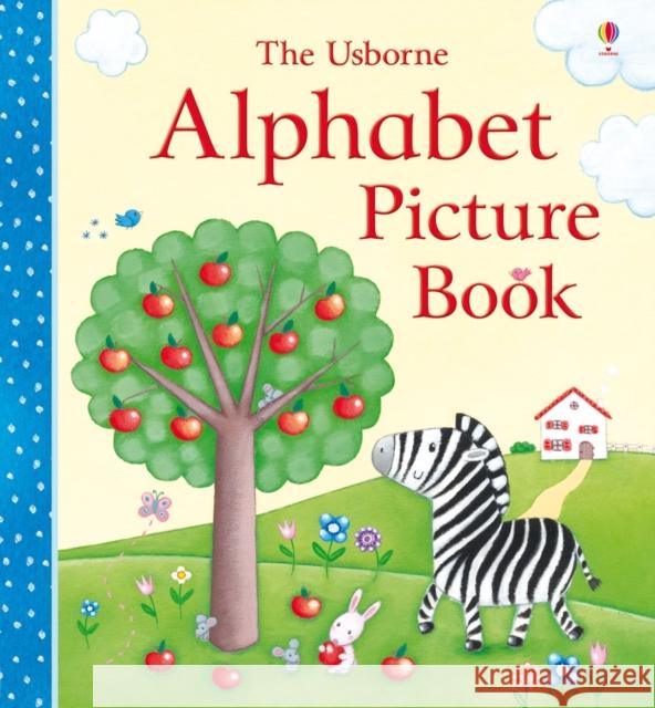 Alphabet Picture Book Usborne 9781409524106