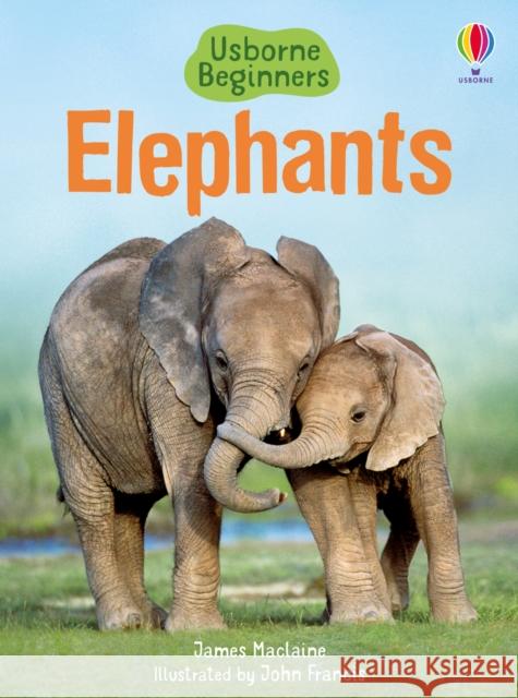 Elephants James Maclaine 9781409530497 Usborne Publishing Ltd