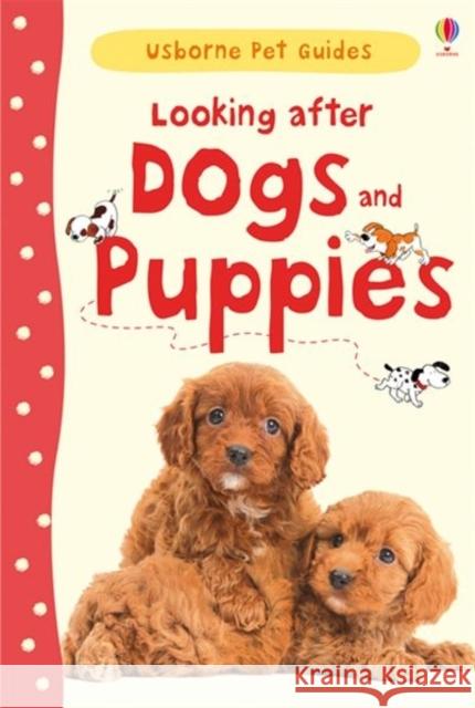 Looking after Dogs and Puppies   9781409532408 Usborne Publishing Ltd