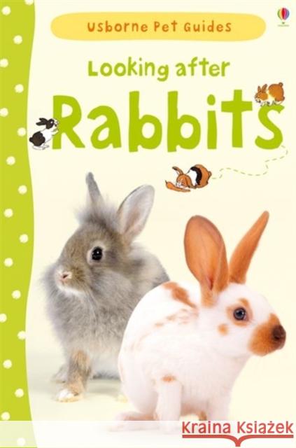 Looking after Rabbits Fiona Patchett, Christyan Fox 9781409532439 Usborne Publishing Ltd