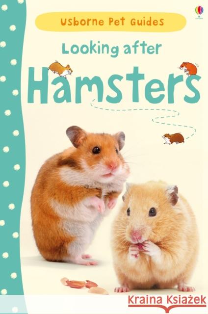 Looking after Hamsters Susan Meredith 9781409561897 Usborne Publishing Ltd
